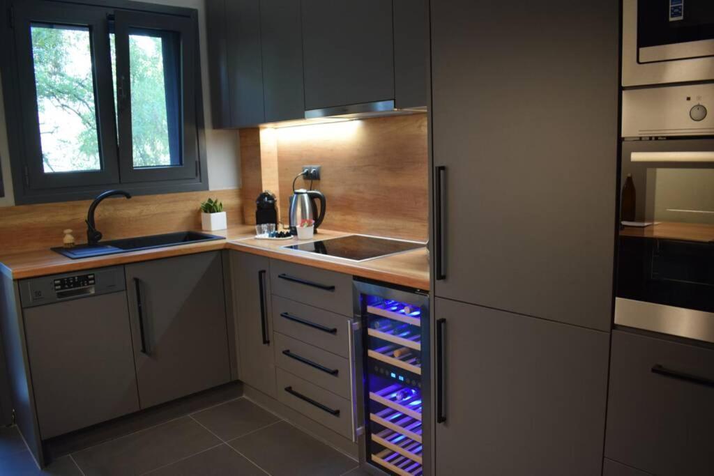 Ockto Luxurious Business Travel Apartment Atina Dış mekan fotoğraf